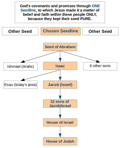 God's covenants and promises go through a specific genealogical seedline.