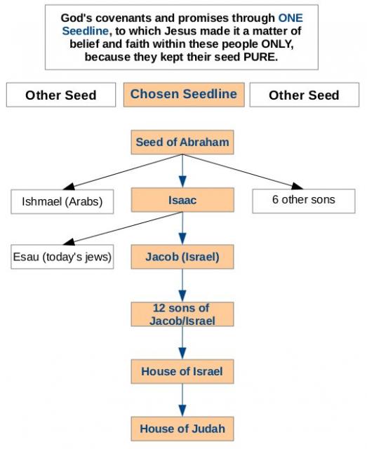 Seedline of the people who were given God's covenants and promises